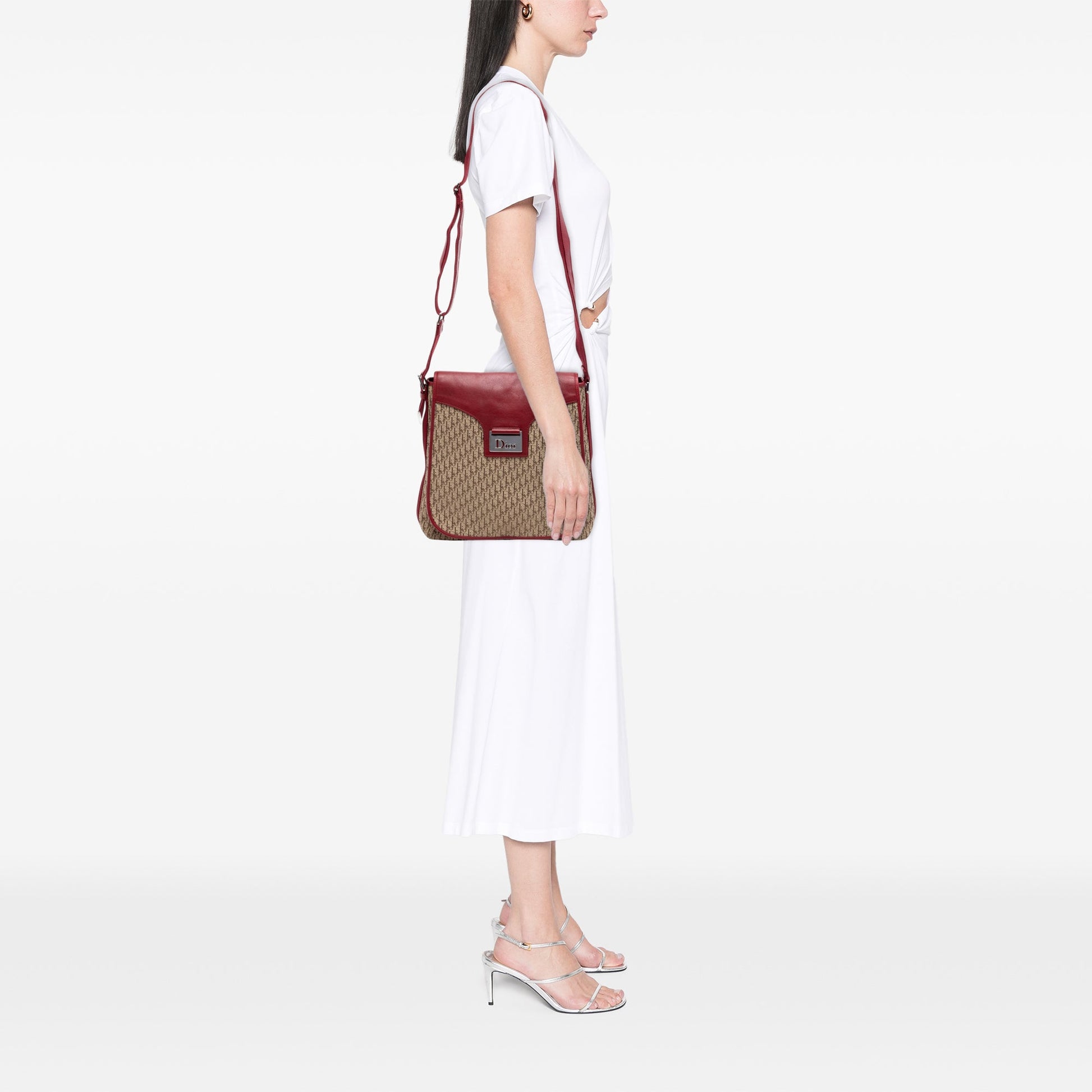 Dior Diorissimo Trotter Canvas Street Chic Crossbody