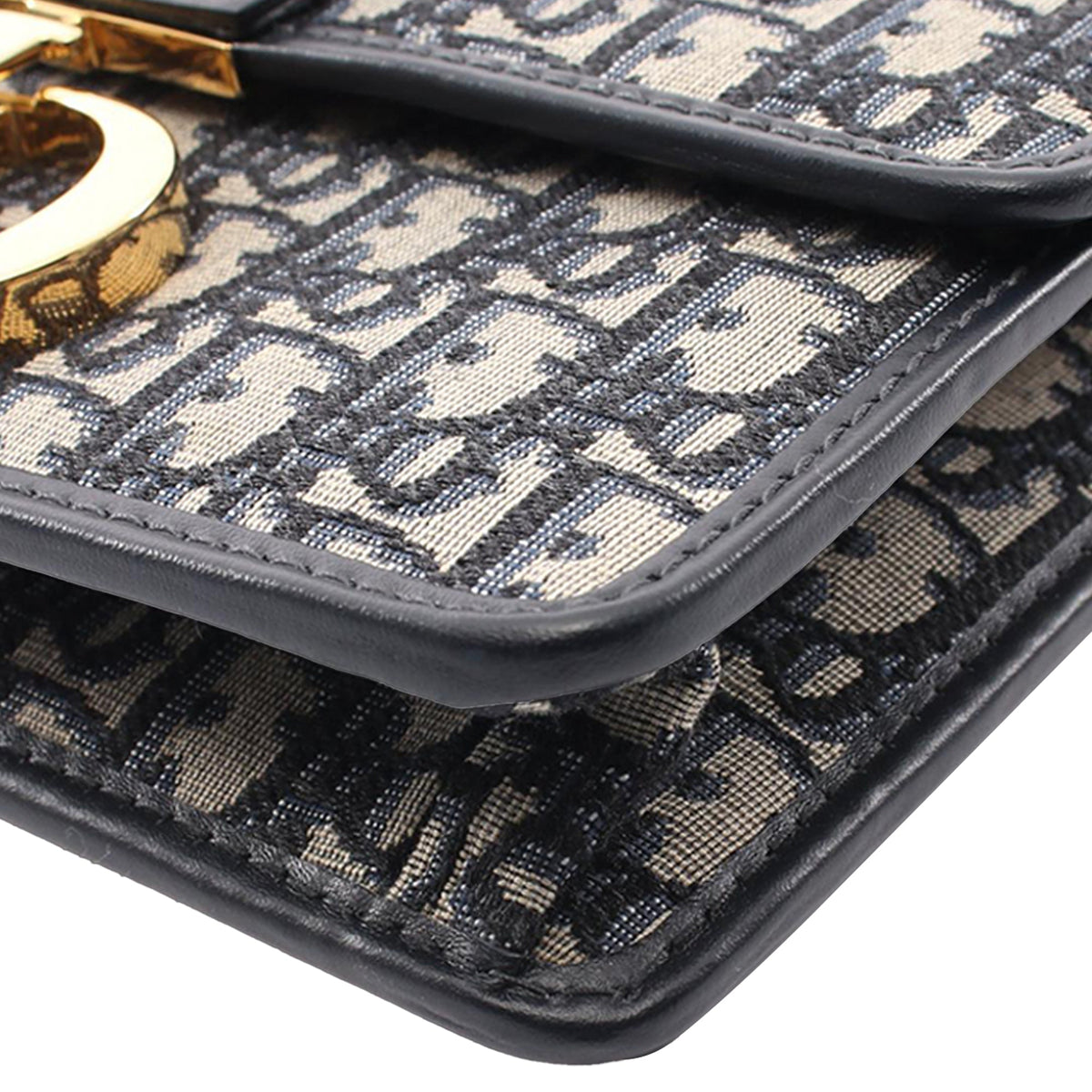 Dior Oblique Canvas 30 Montaigne Flap