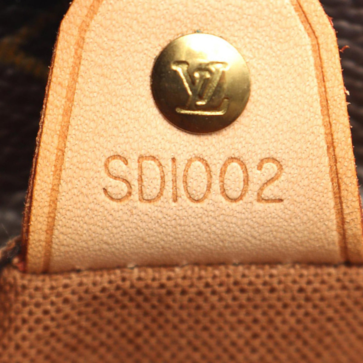 Louis Vuitton Monogram Vavin GM