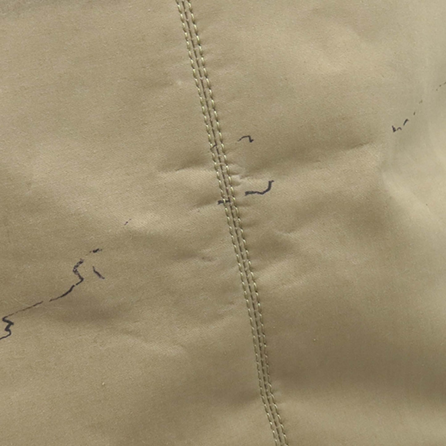 Dior Large Canvas Eiffel Tower Toujours Tote