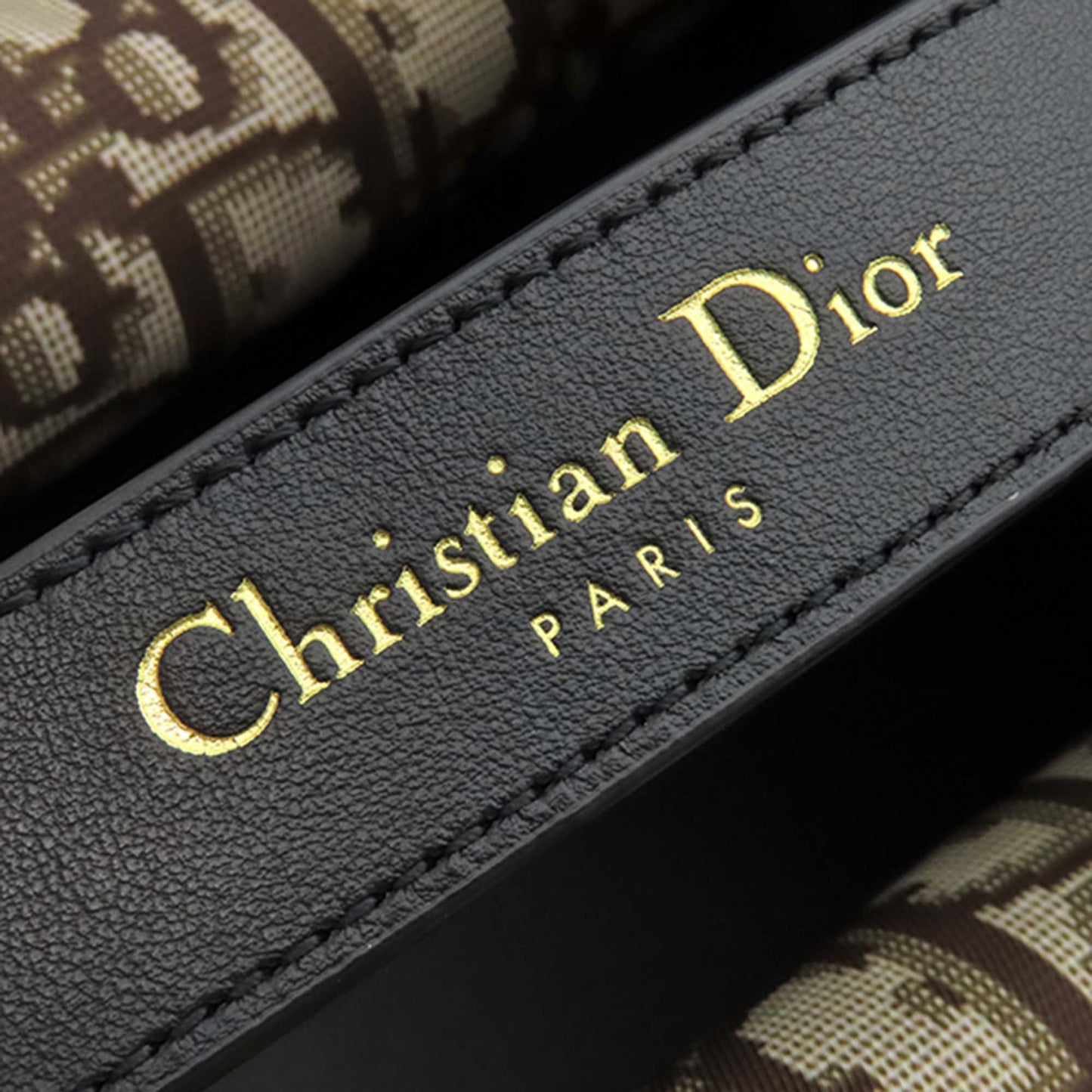 Dior Large Canvas Eiffel Tower Toujours Tote