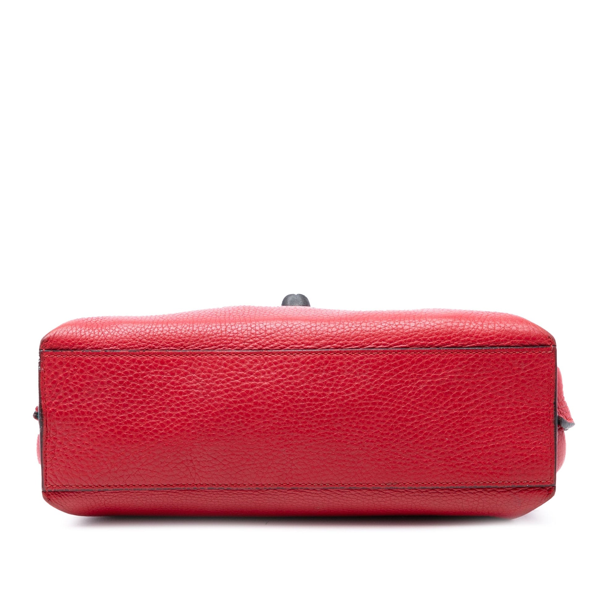 Gucci Small Calfskin Bamboo Daily Satchel