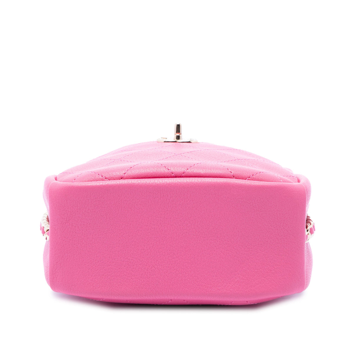 Chanel Stitched Goatskin Casual Trip North South Camera Case