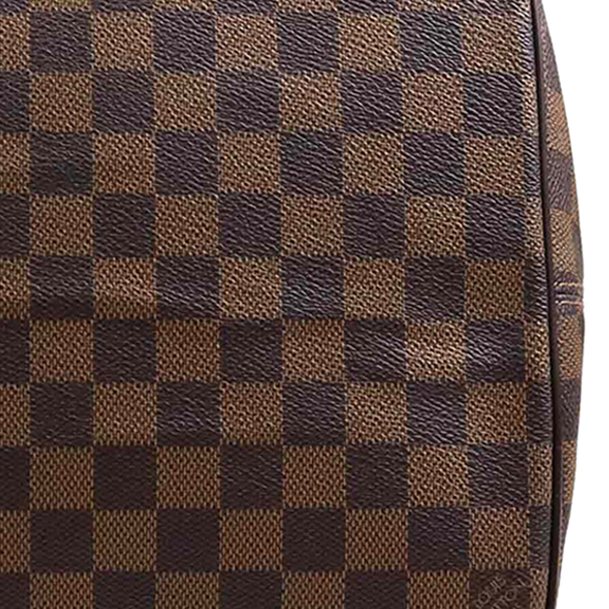 Louis Vuitton Damier Ebene Saleya GM
