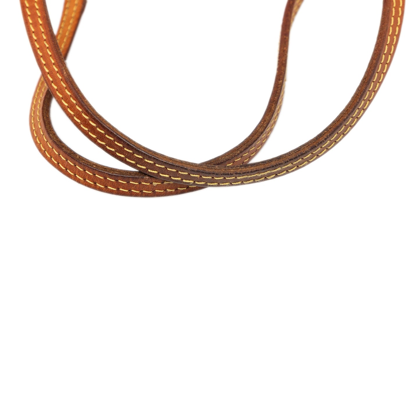 Louis Vuitton Monogram Neverfull PM