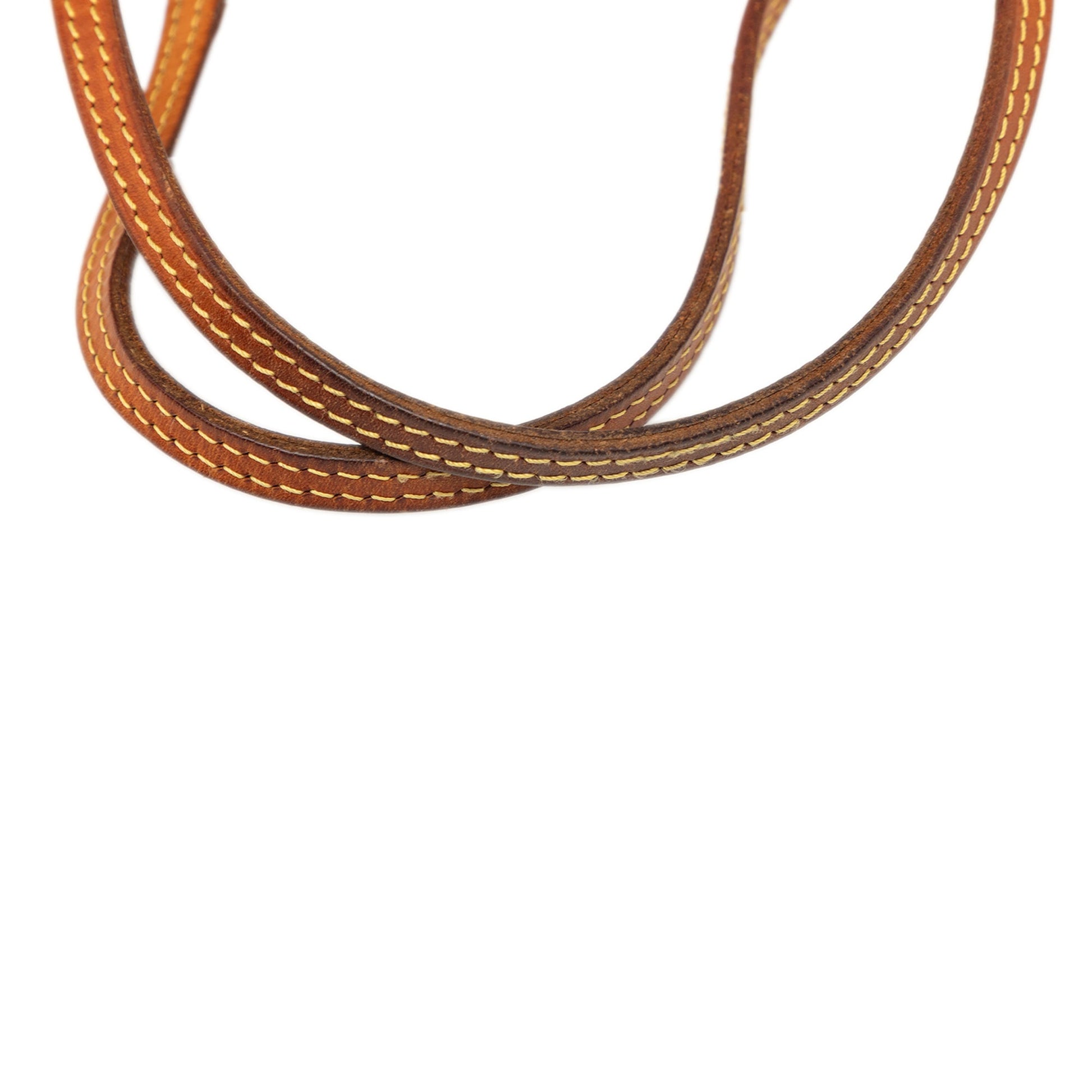 Louis Vuitton Monogram Neverfull PM