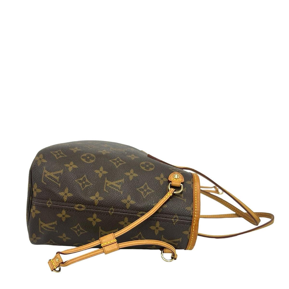 Louis Vuitton Monogram Neverfull PM
