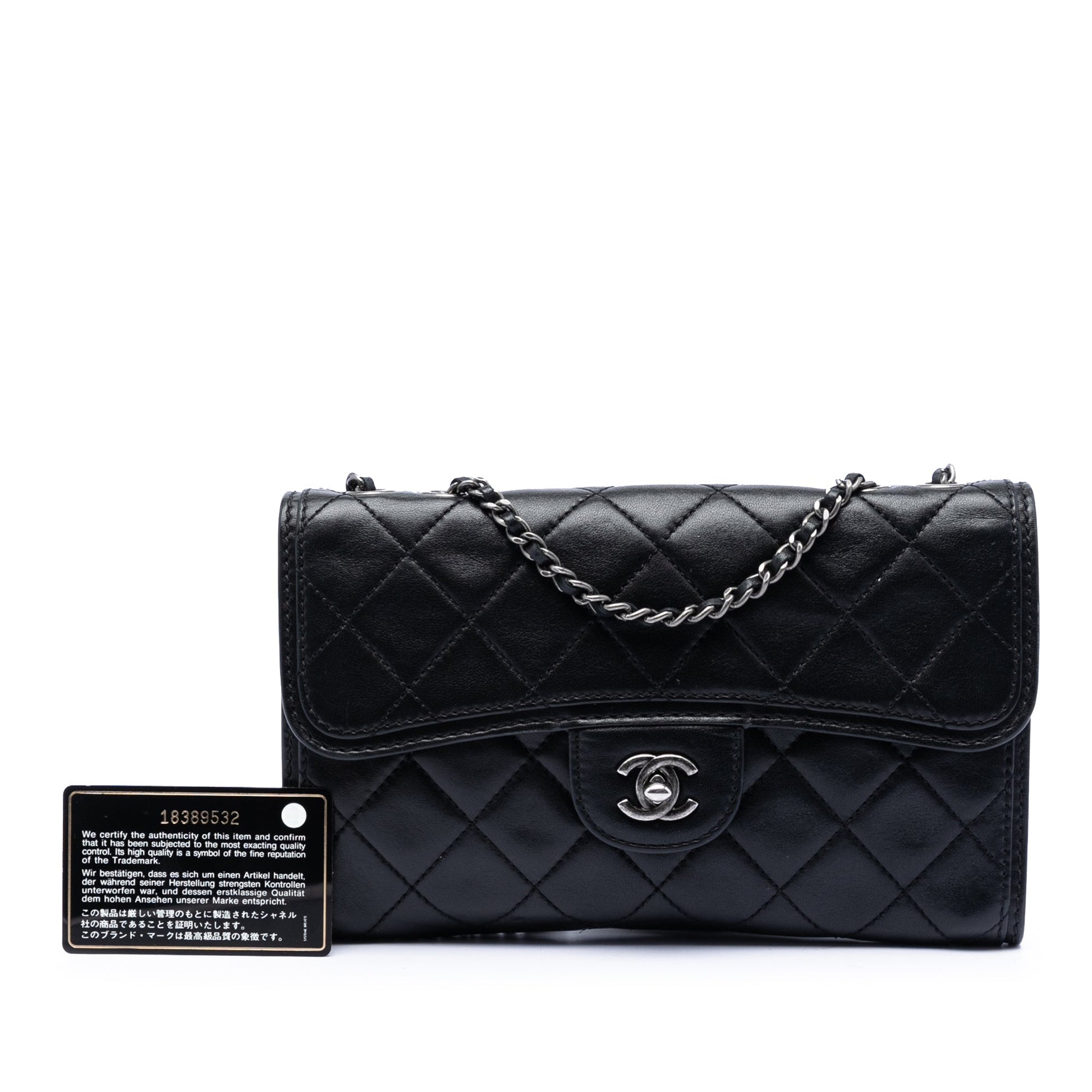 Chanel Small Quilted Lambskin Citizen Zip Flap