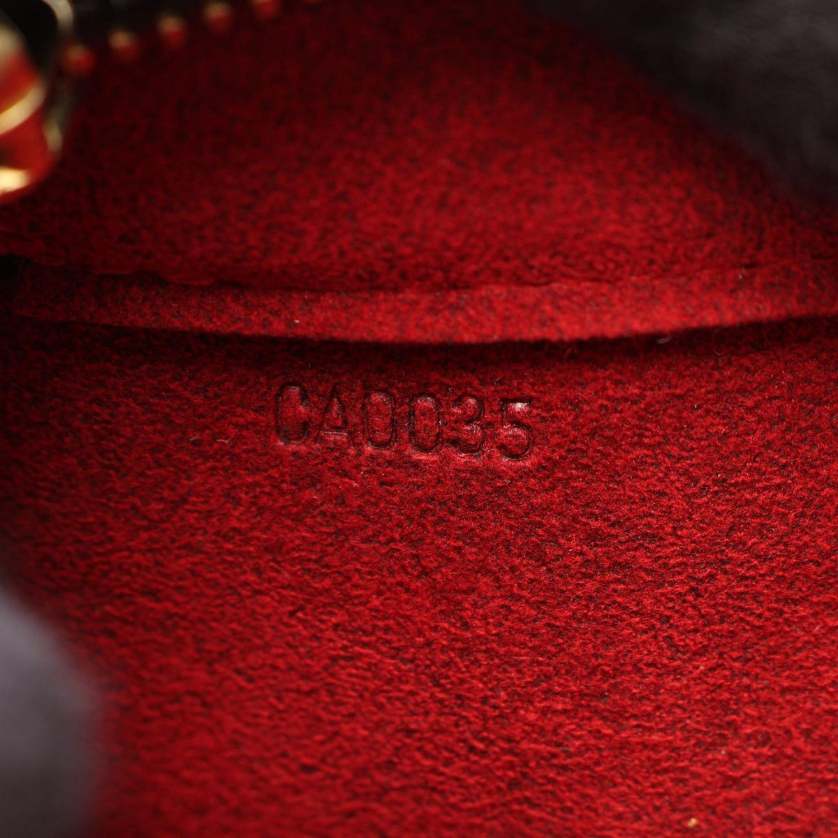 Louis Vuitton Monogram Viva Cite PM — Brown