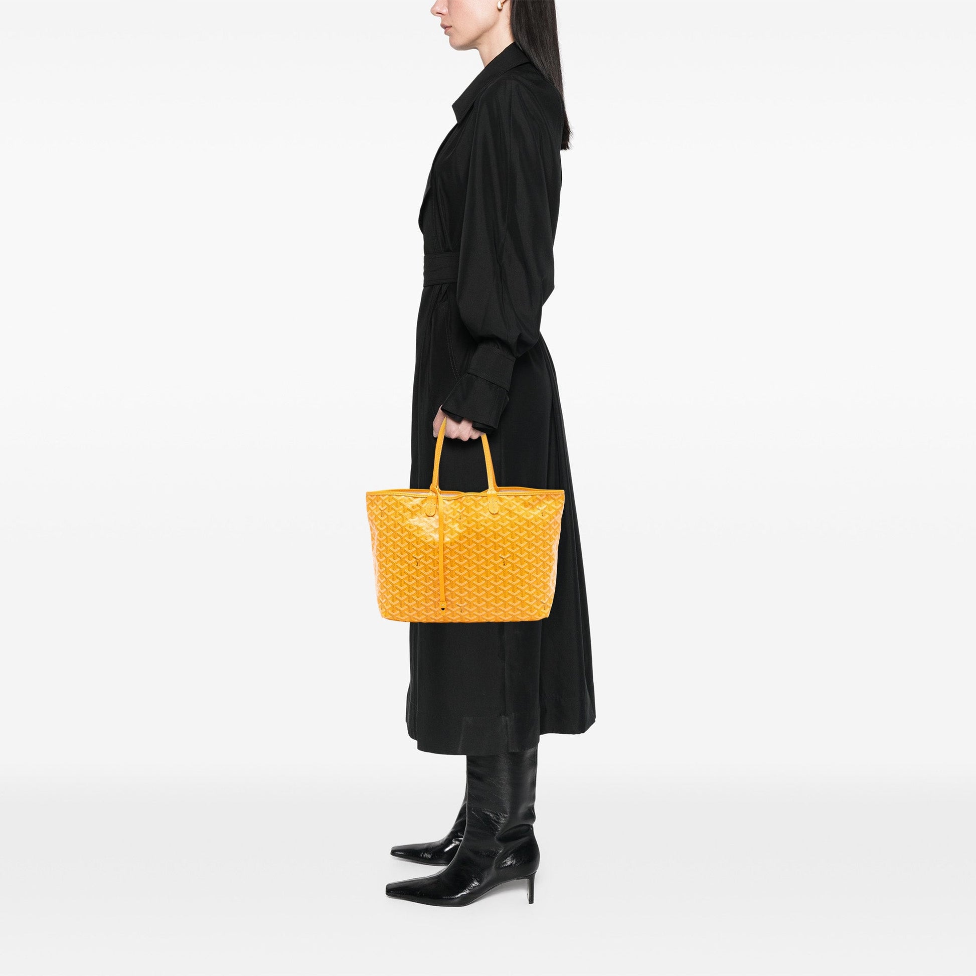Goyard Goyardine Saint Louis PM