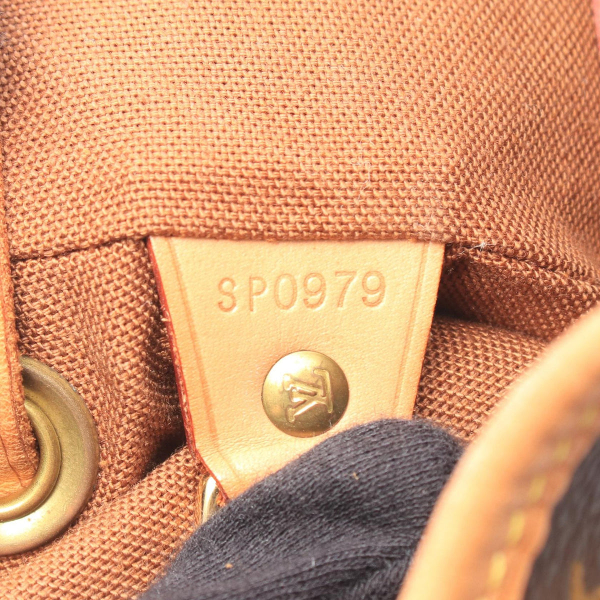 Louis Vuitton Monogram Montsouris MM — Brown
