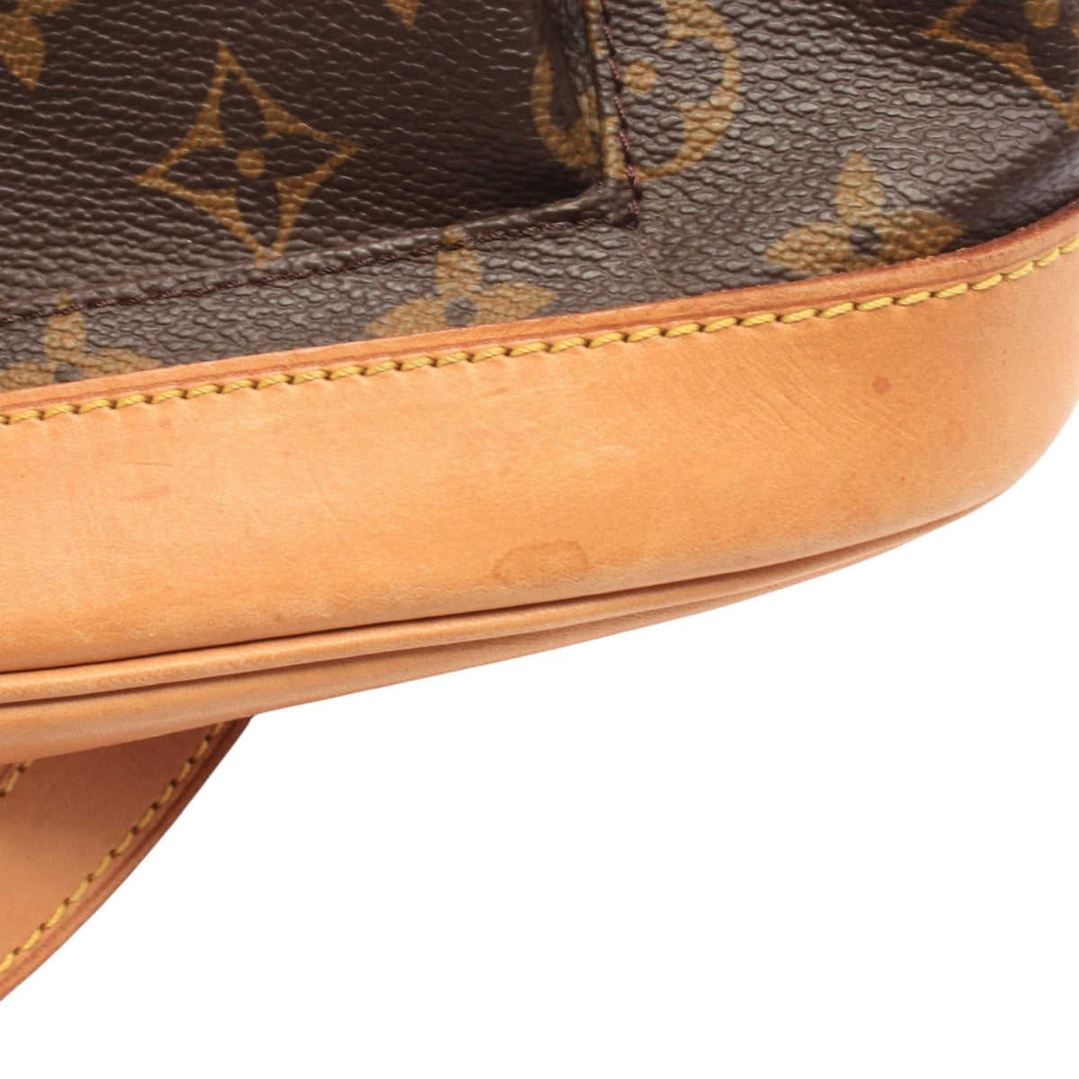 Louis Vuitton Monogram Montsouris MM — Brown