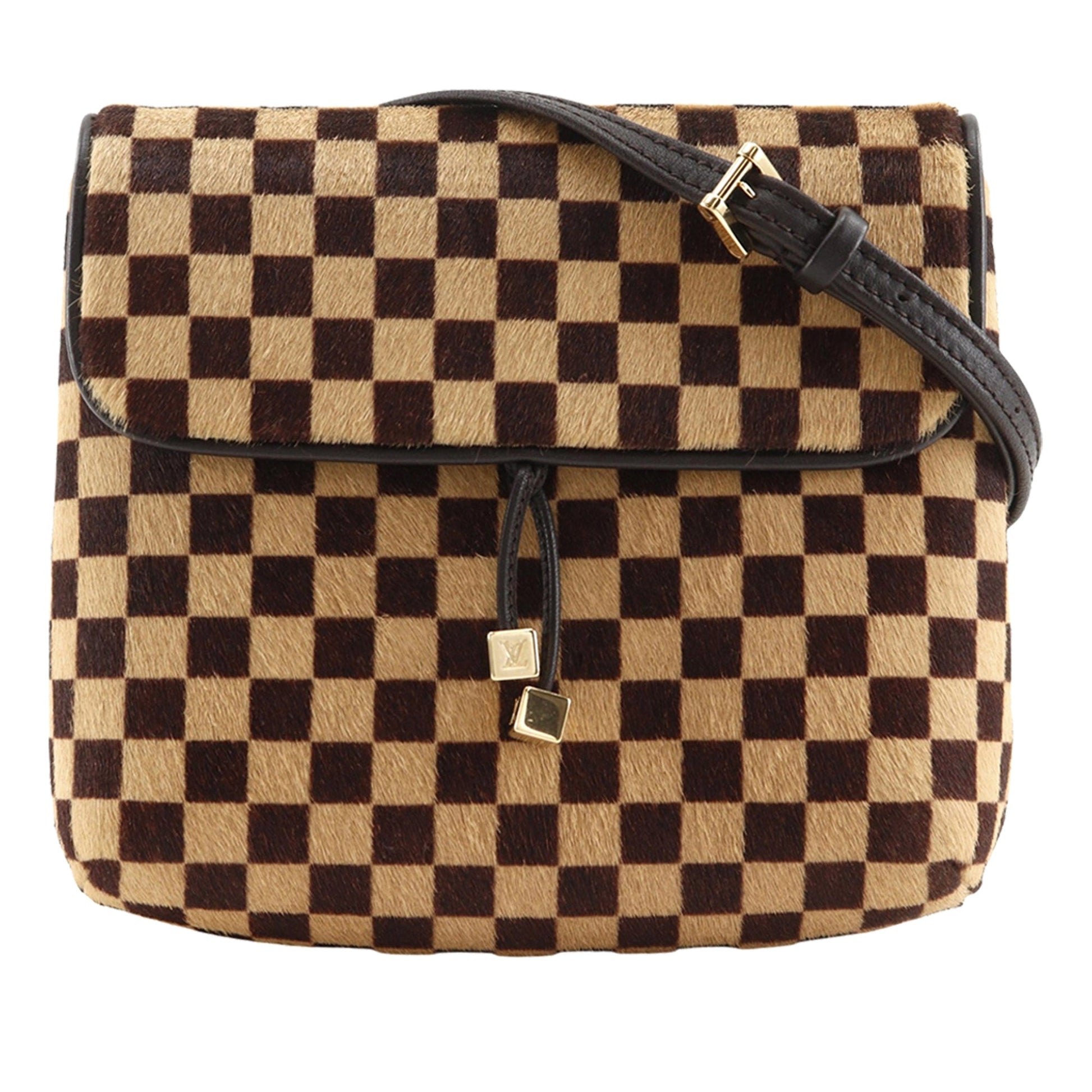 Louis Vuitton Damier Sauvage Gazelle