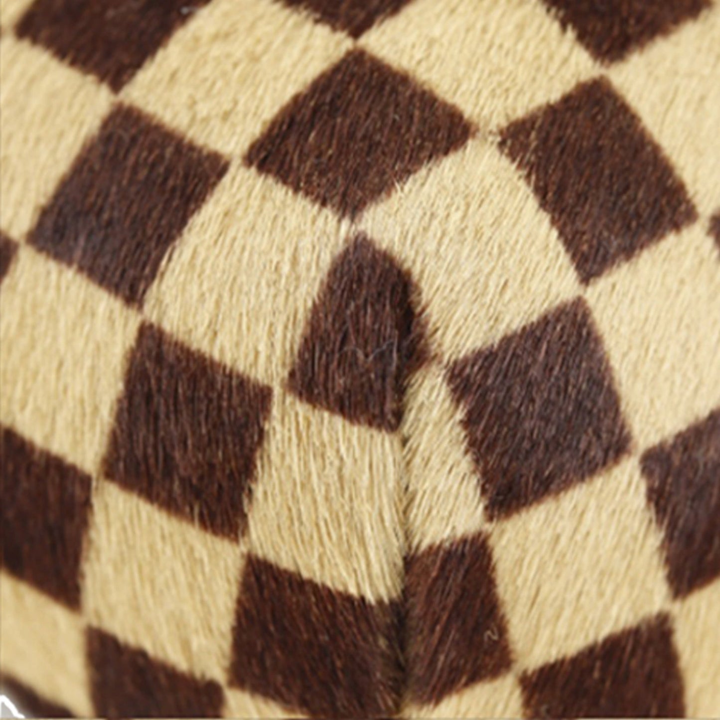 Louis Vuitton Damier Sauvage Gazelle