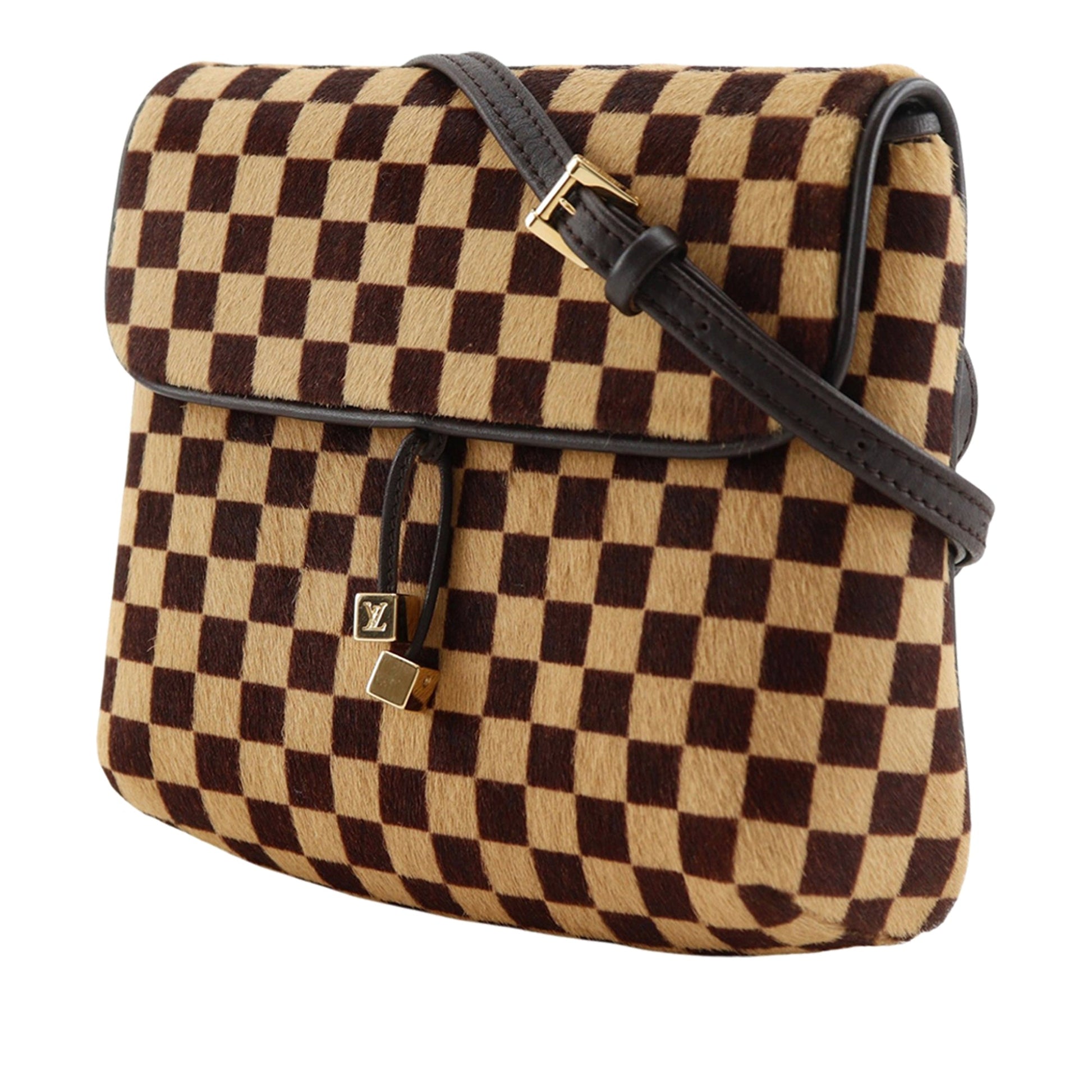 Louis Vuitton Damier Sauvage Gazelle