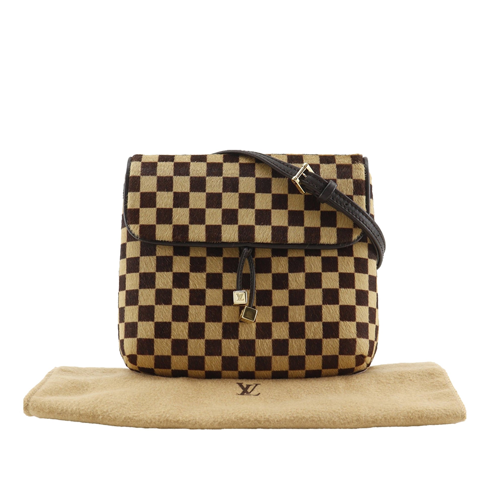 Louis Vuitton Damier Sauvage Gazelle
