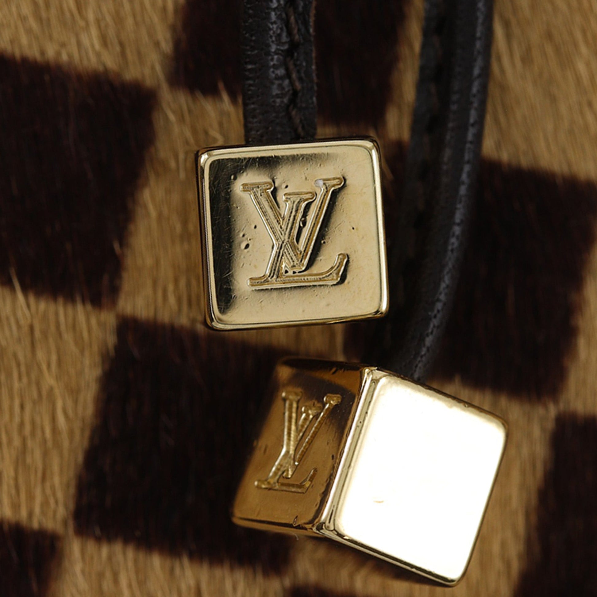 Louis Vuitton Damier Sauvage Gazelle