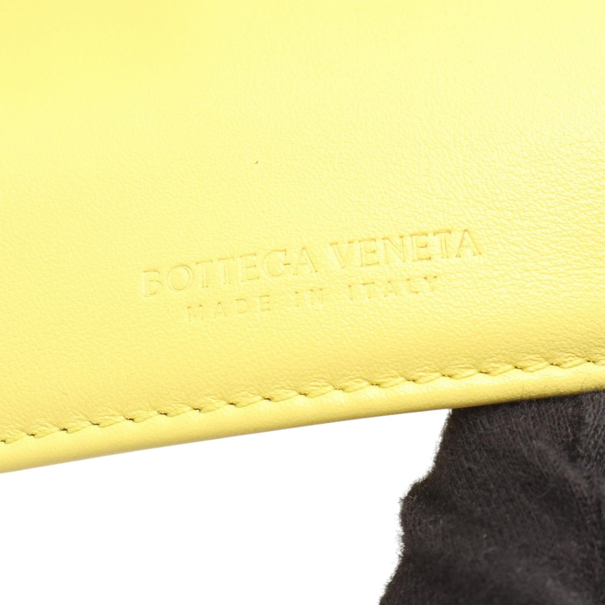 Bottega Veneta The Mini Twist