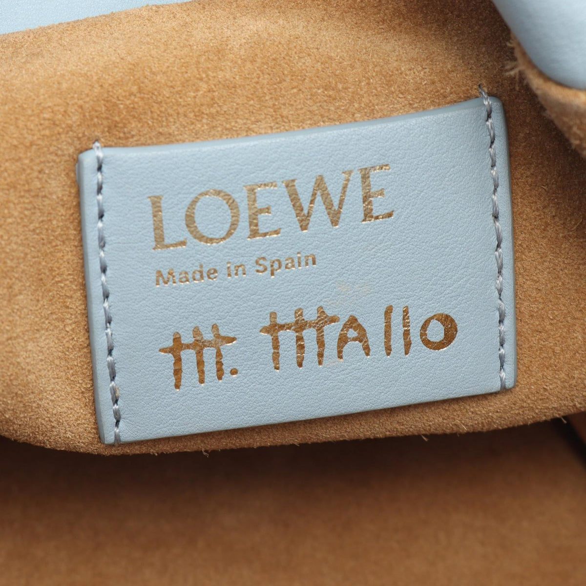 LOEWE Maruja Mallo Medium Nappa Flamenco Clutch — Blue