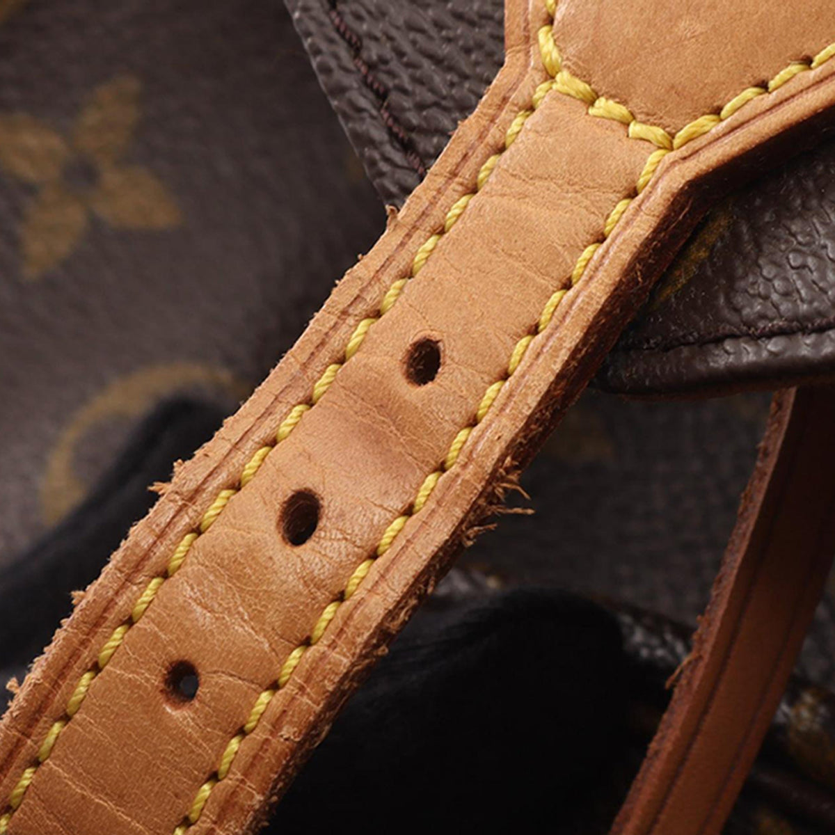 Louis Vuitton Monogram Mini Montsouris — Brown