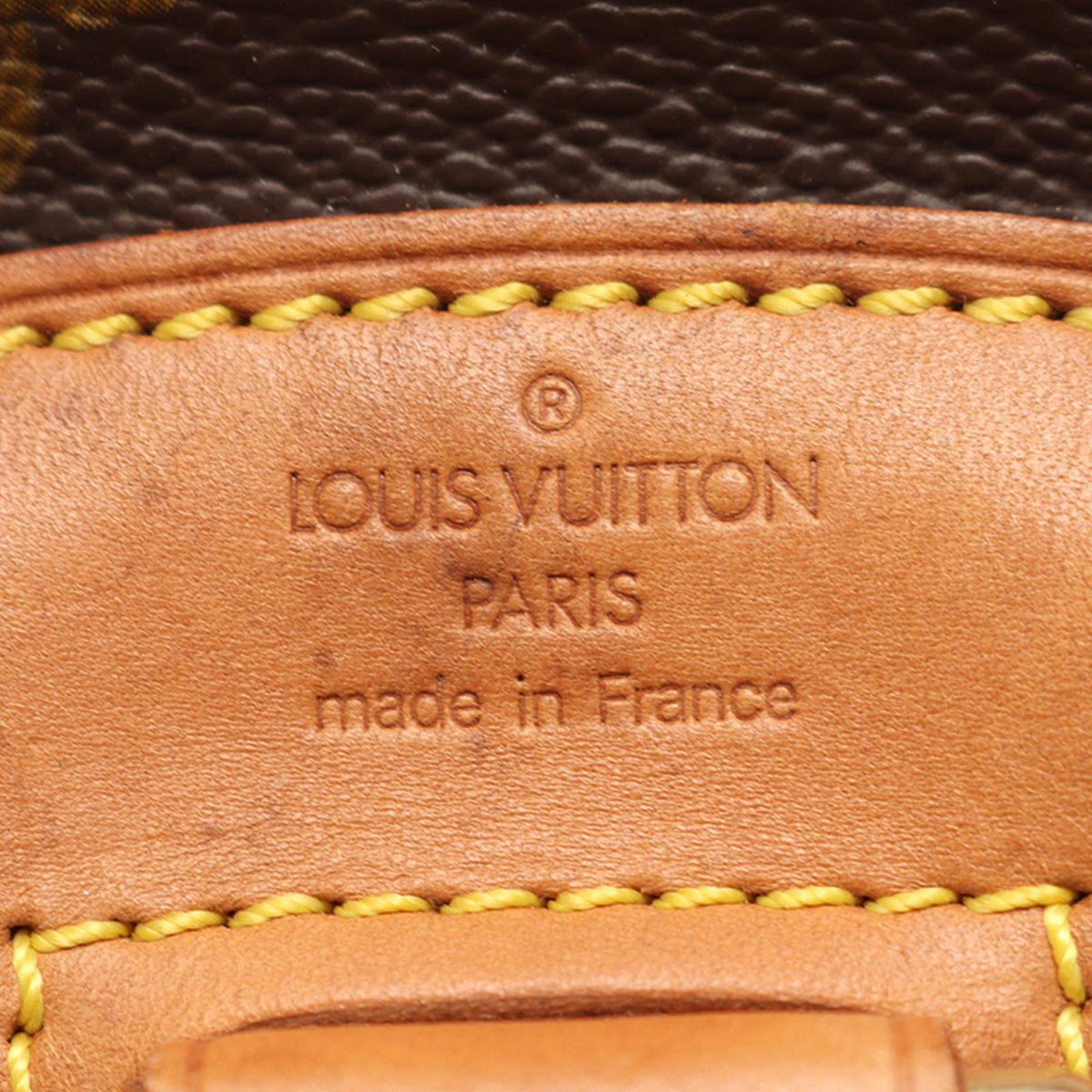 Louis Vuitton Monogram Mini Montsouris — Brown