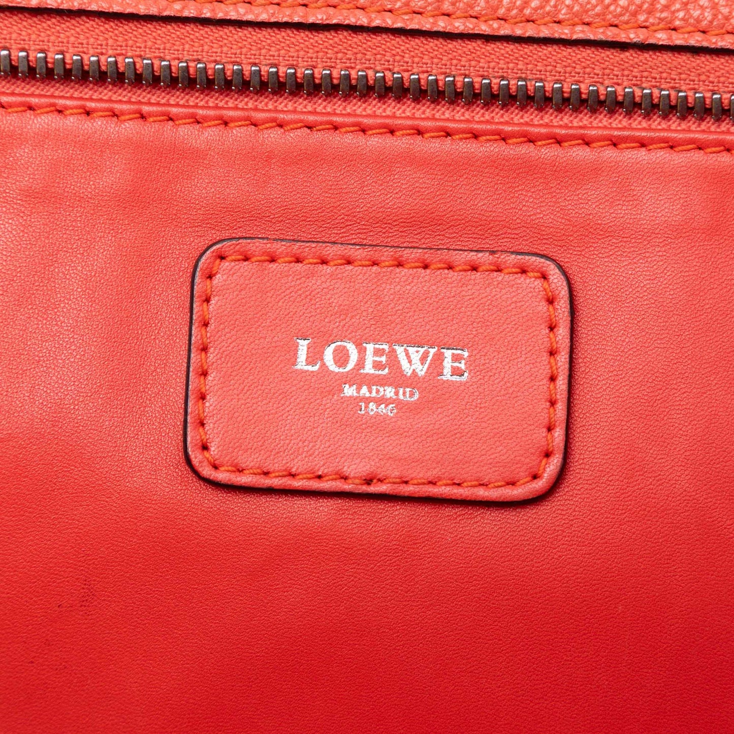 LOEWE Tricolor Goatskin Amazona 36