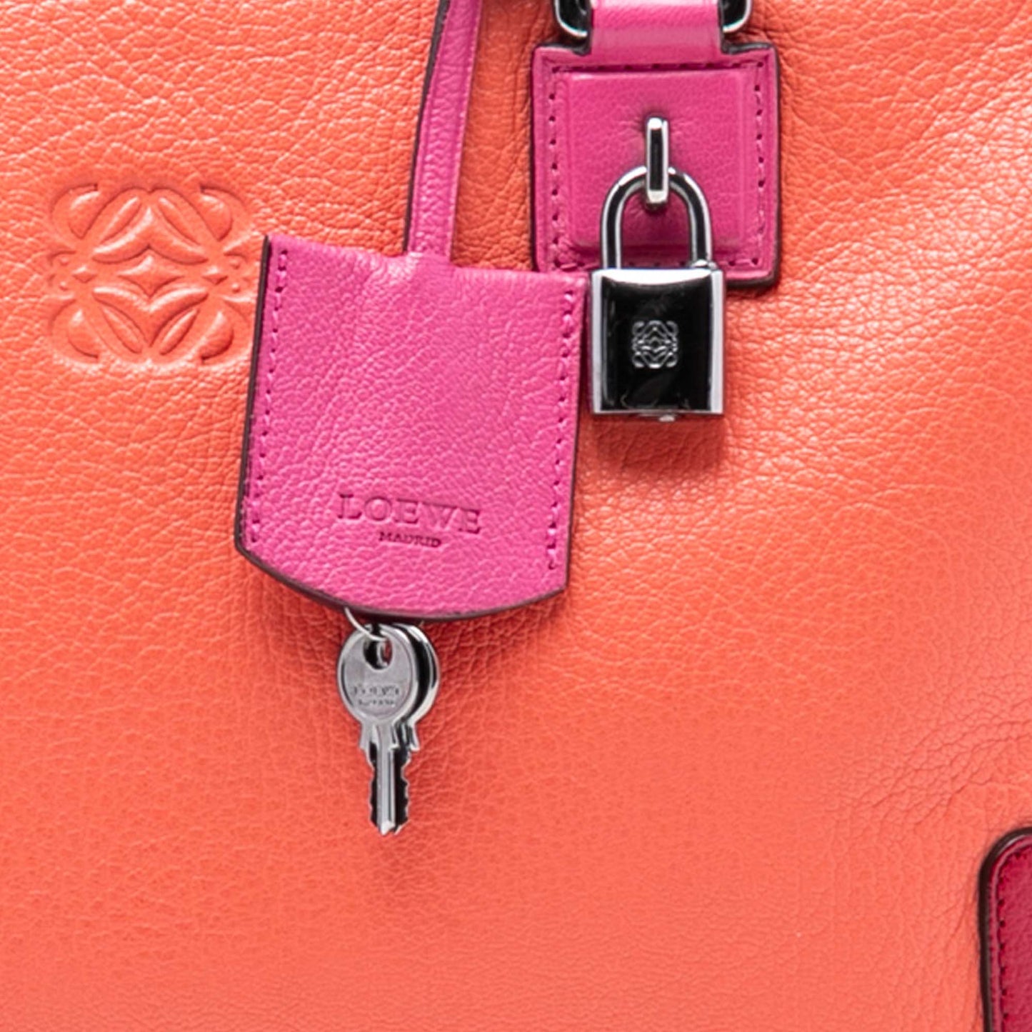 LOEWE Tricolor Goatskin Amazona 36