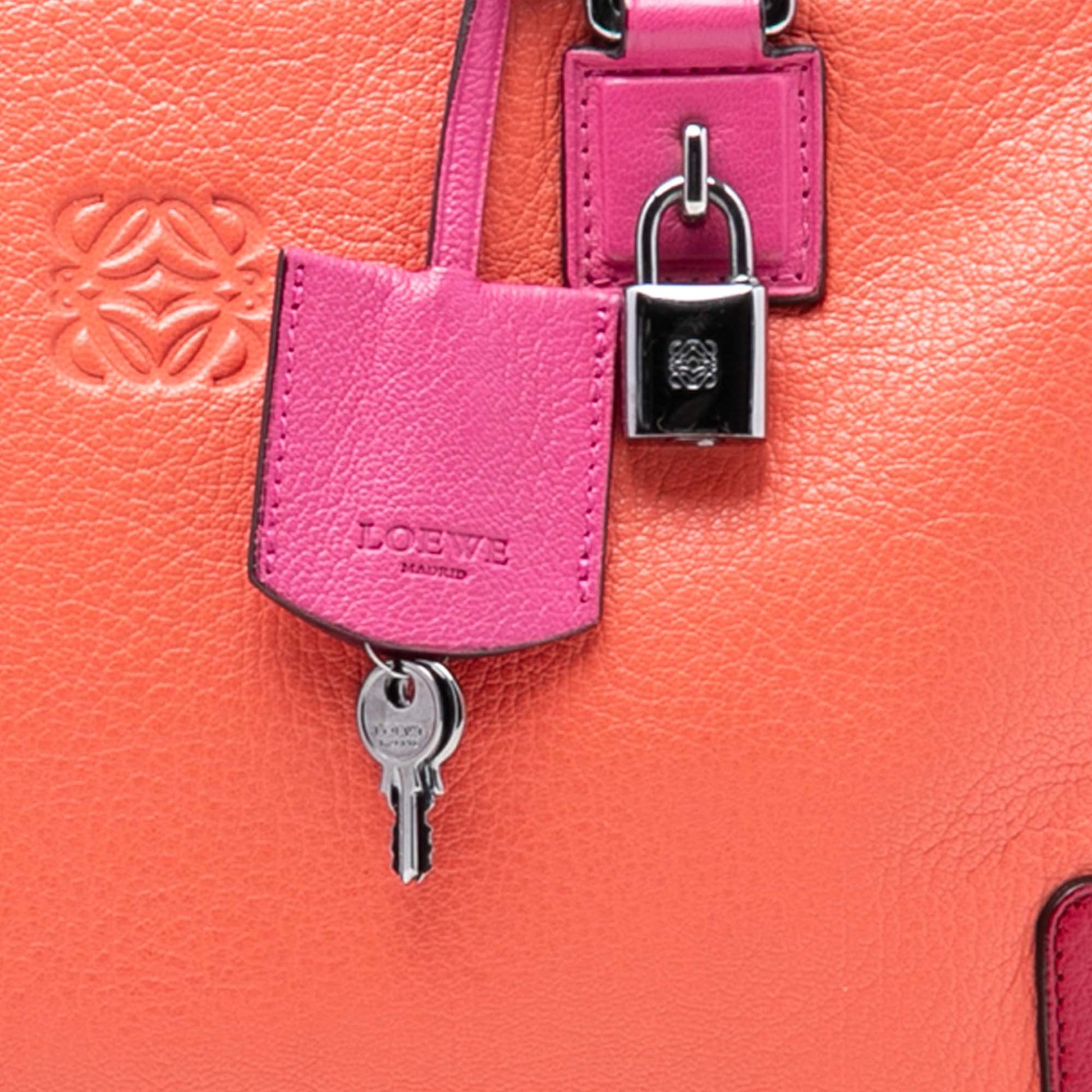 LOEWE Tricolor Goatskin Amazona 36