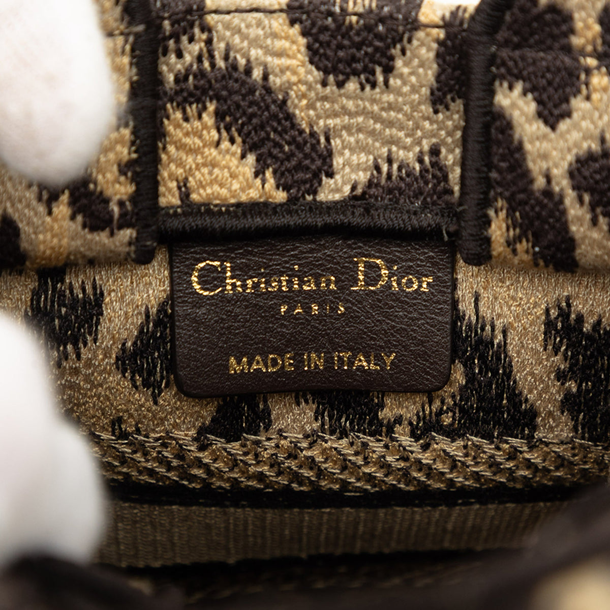 Dior Mizza Mini Embroidered Canvas Leopard Vertical Book Tote — Beige