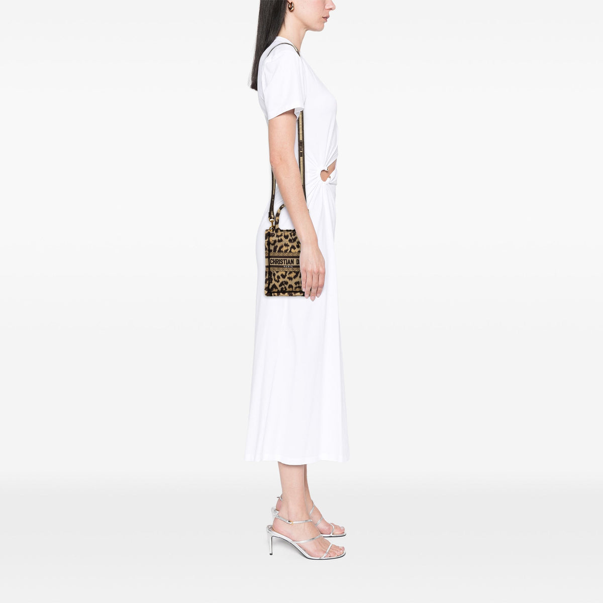 Dior Mizza Mini Embroidered Canvas Leopard Vertical Book Tote — Beige