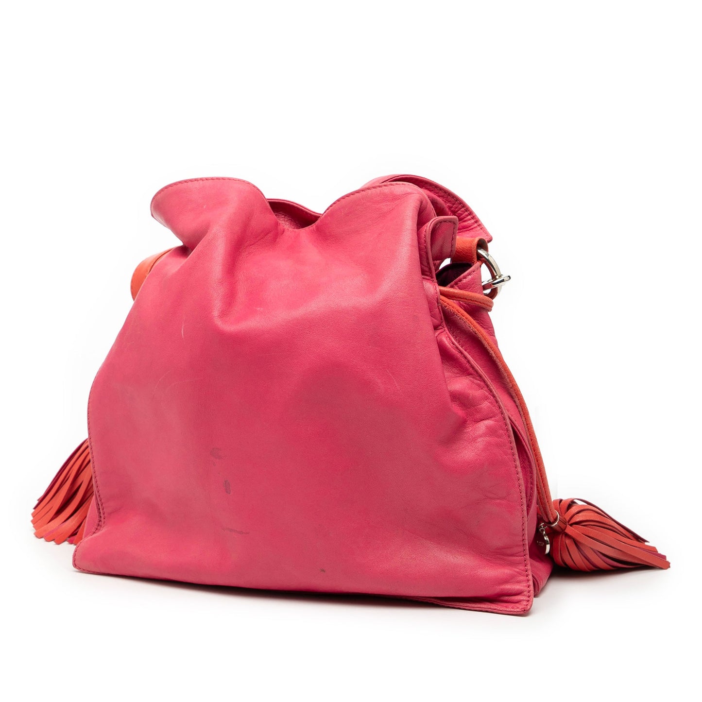LOEWE Bicolor Nappa Flamenco Tassel 30 Crossbody