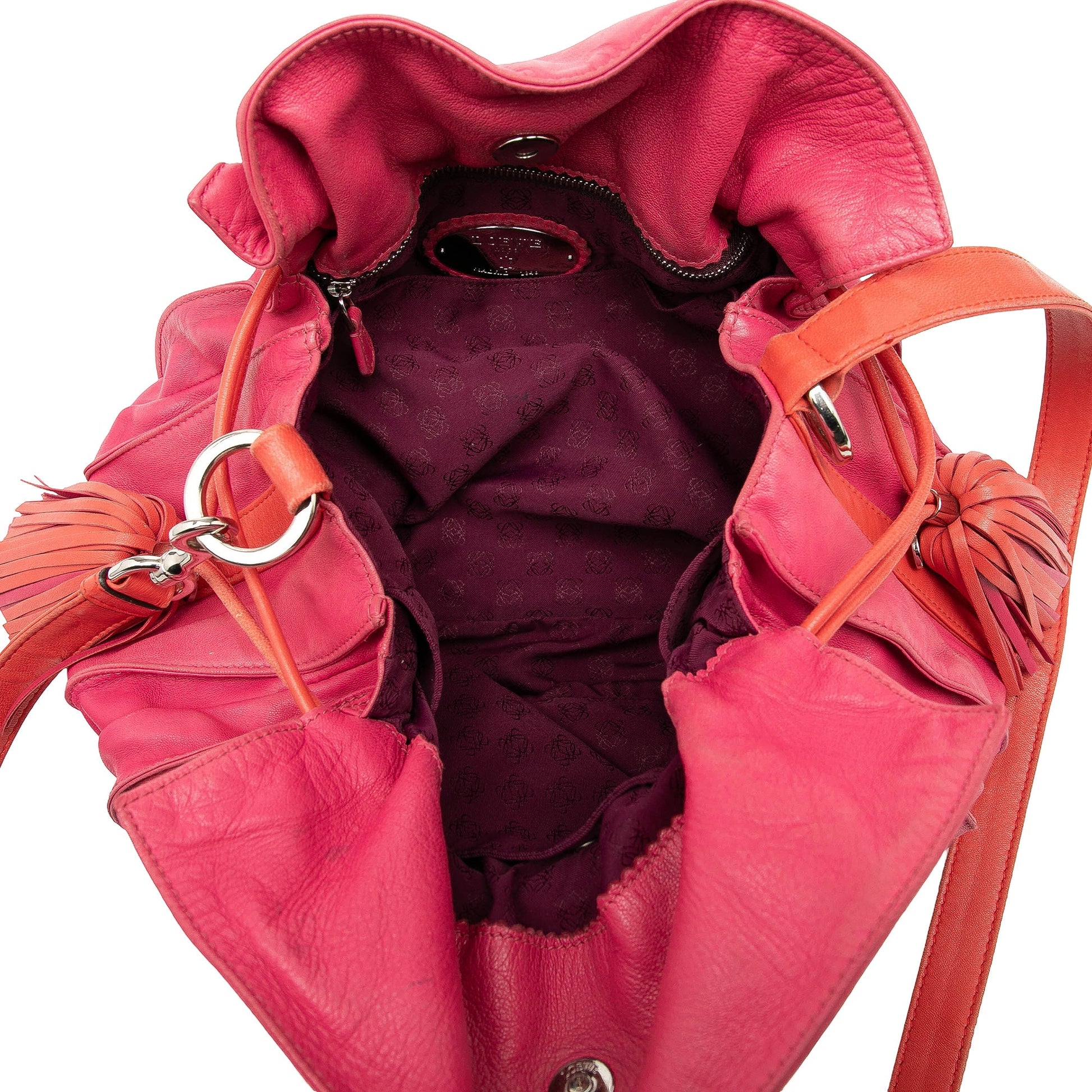 LOEWE Bicolor Nappa Flamenco Tassel 30 Crossbody