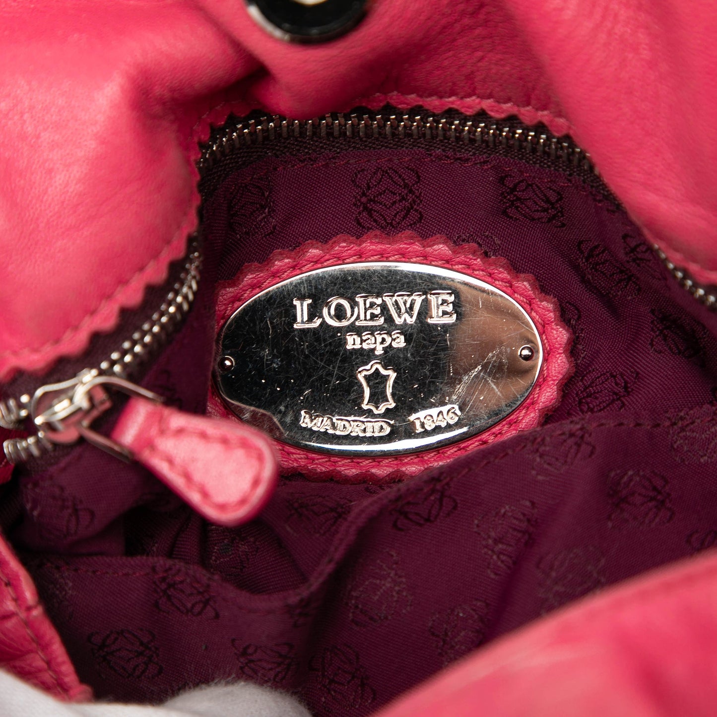 LOEWE Bicolor Nappa Flamenco Tassel 30 Crossbody