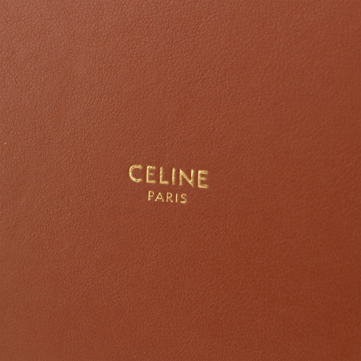 Celine Medium Canvas Bucket 16