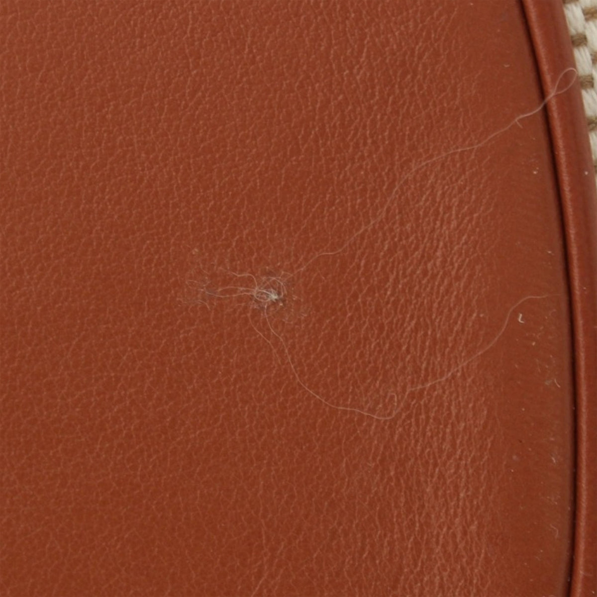 Celine Medium Canvas Bucket 16