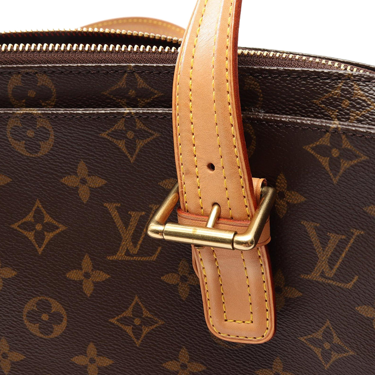 Louis Vuitton Monogram Multipli Cite