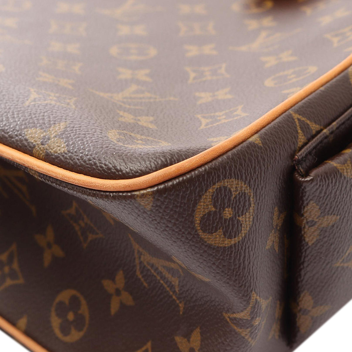 Louis Vuitton Monogram Multipli Cite
