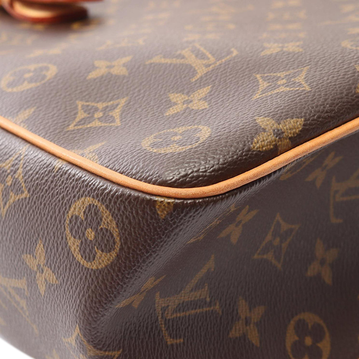Louis Vuitton Monogram Multipli Cite