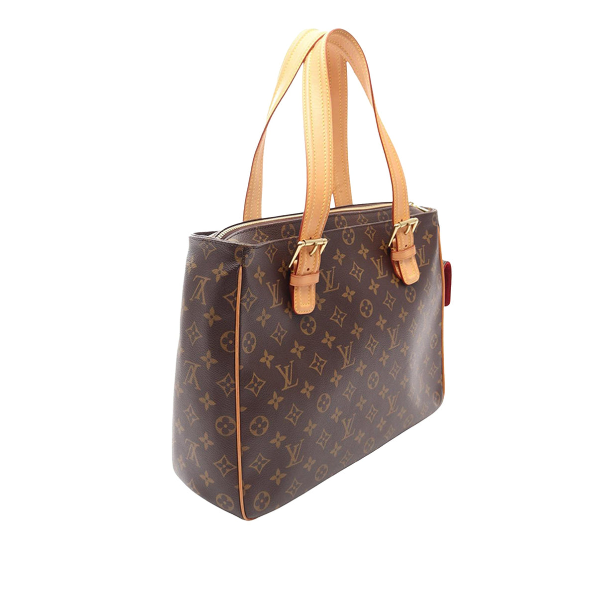 Louis Vuitton Monogram Multipli Cite