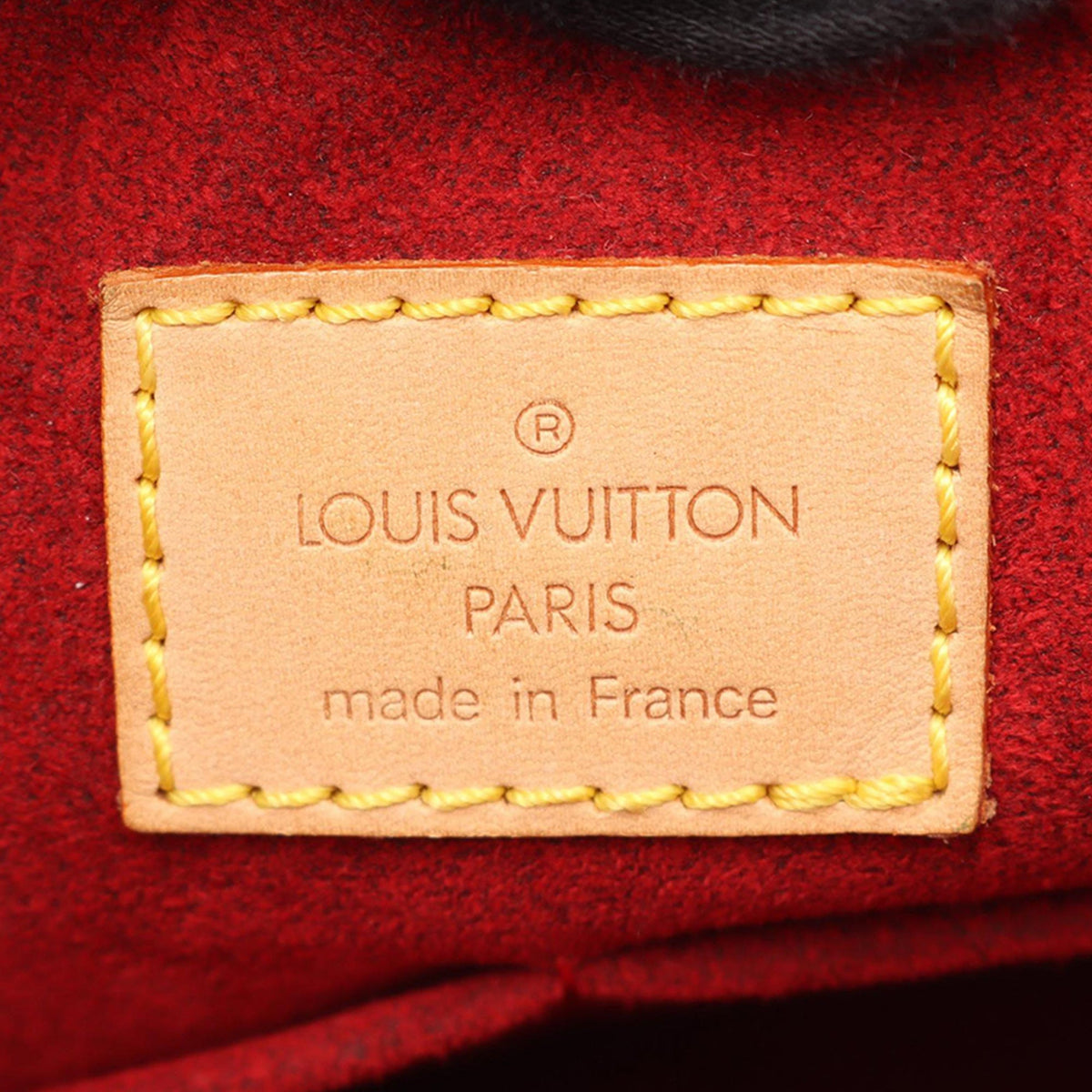 Louis Vuitton Monogram Multipli Cite