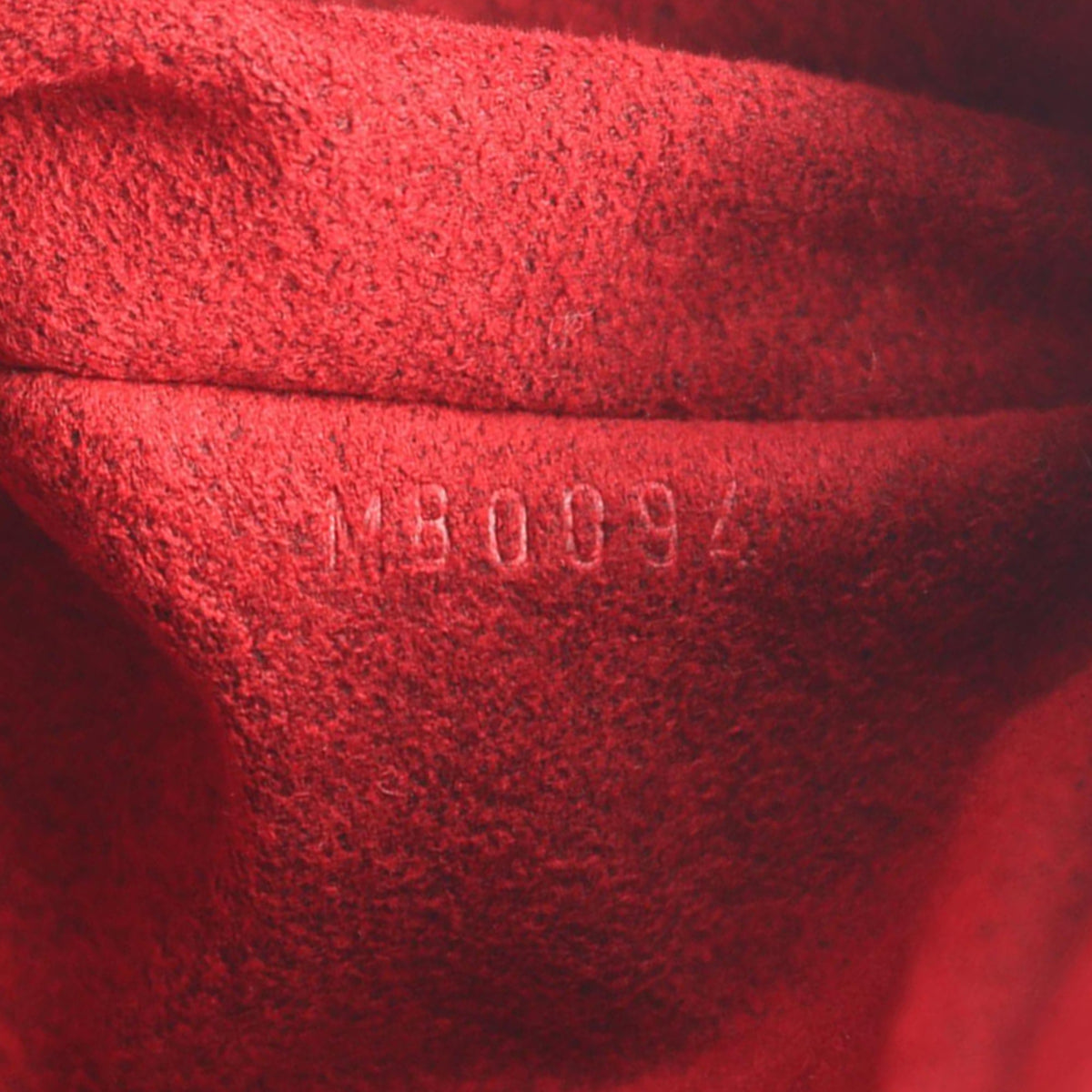 Louis Vuitton Monogram Multipli Cite