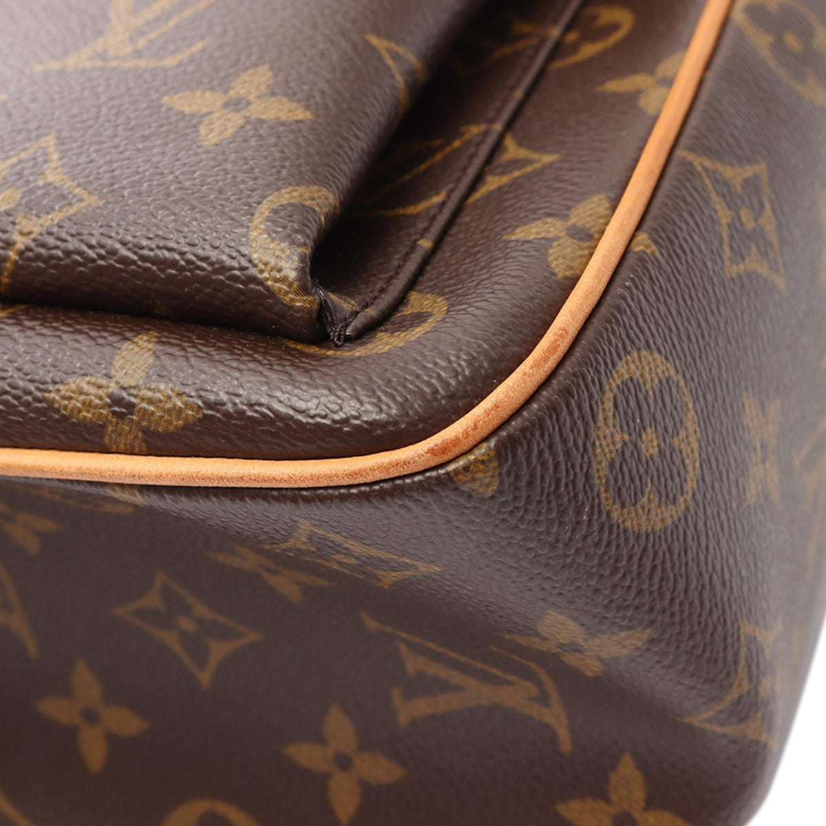 Louis Vuitton Monogram Multipli Cite