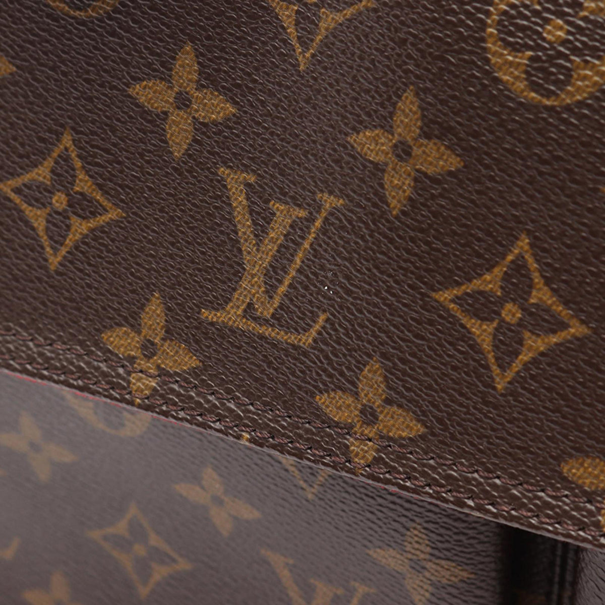Louis Vuitton Monogram Multipli Cite