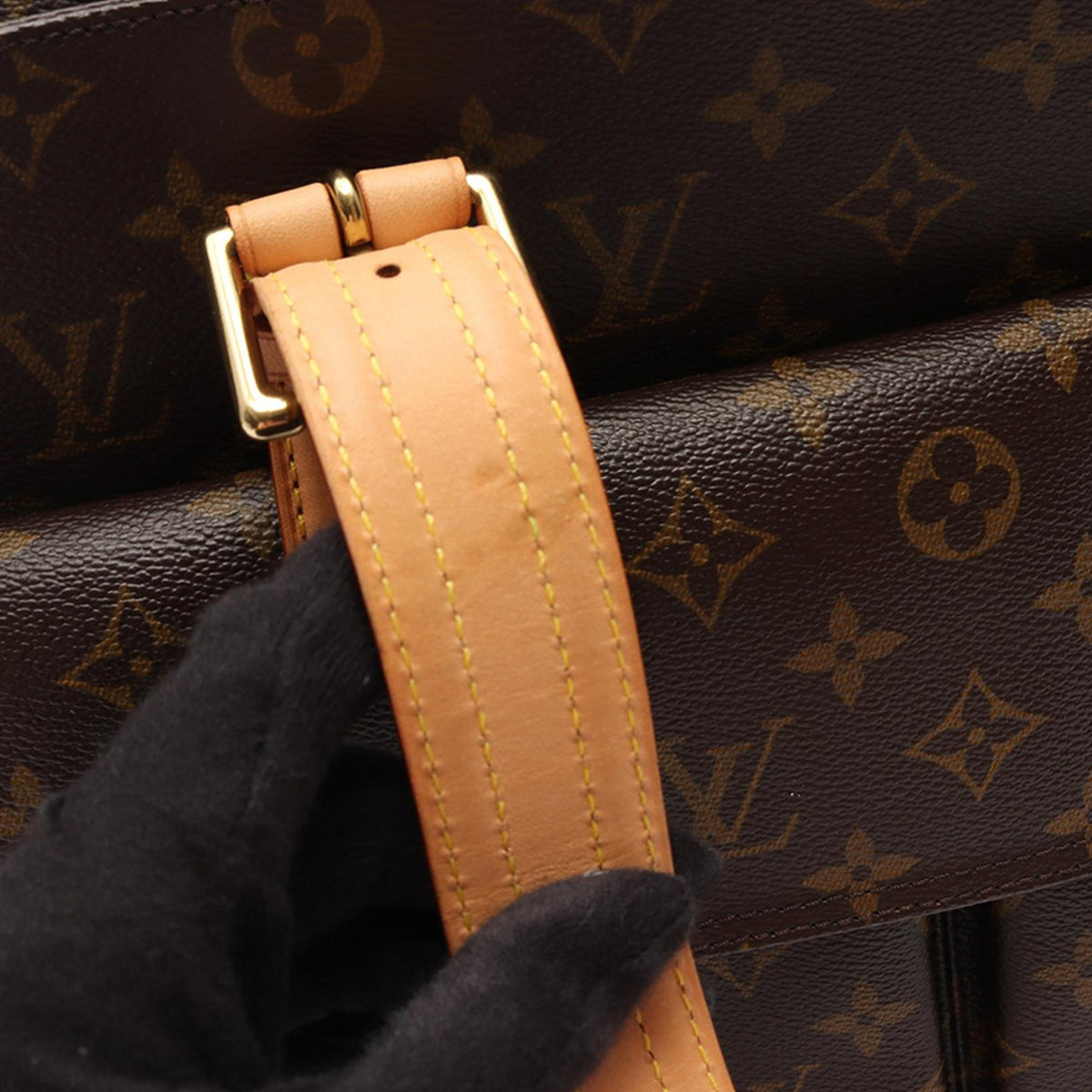 Louis Vuitton Monogram Multipli Cite