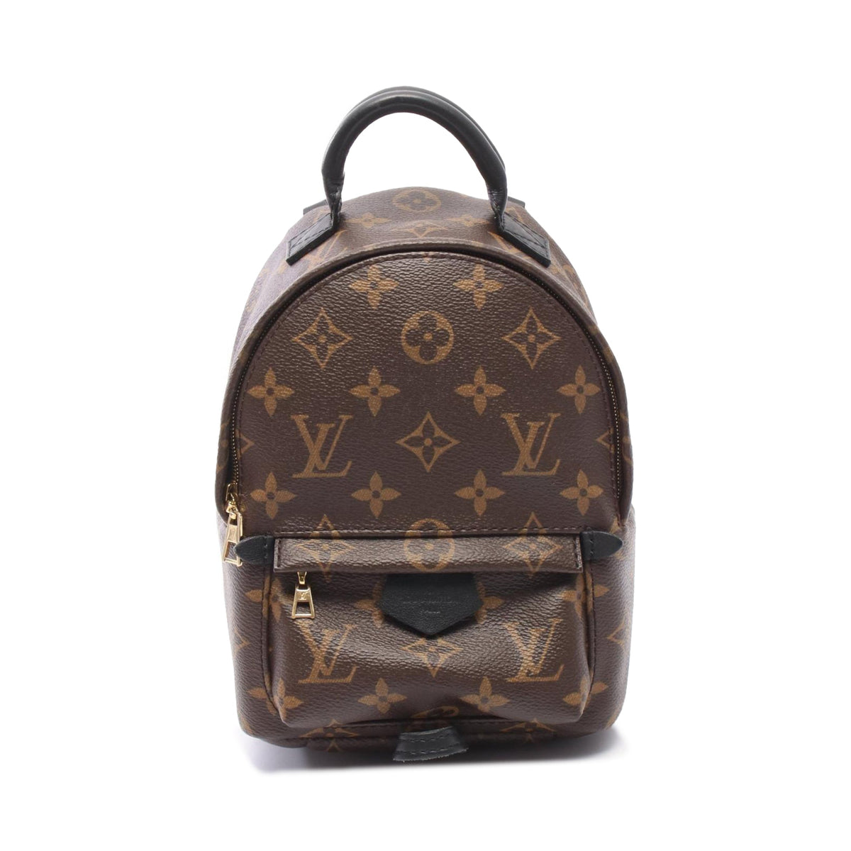 Louis Vuitton Monogram Mini Palm Springs