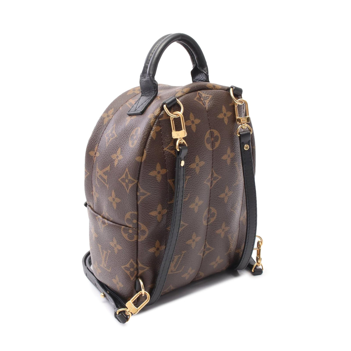 Louis Vuitton Monogram Mini Palm Springs