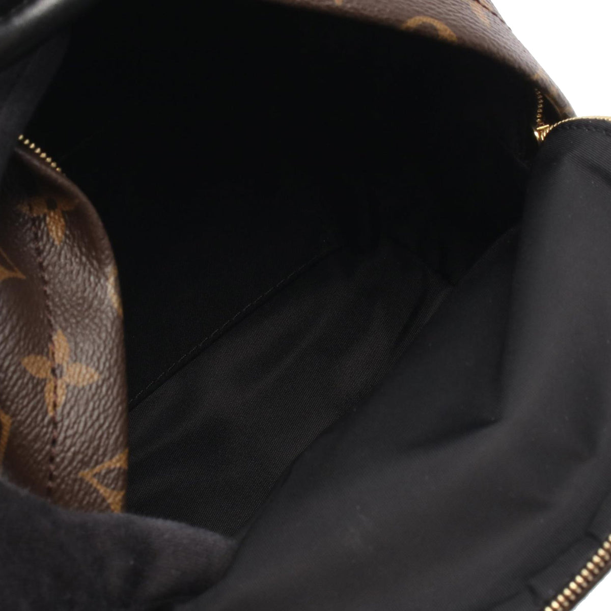 Louis Vuitton Monogram Mini Palm Springs