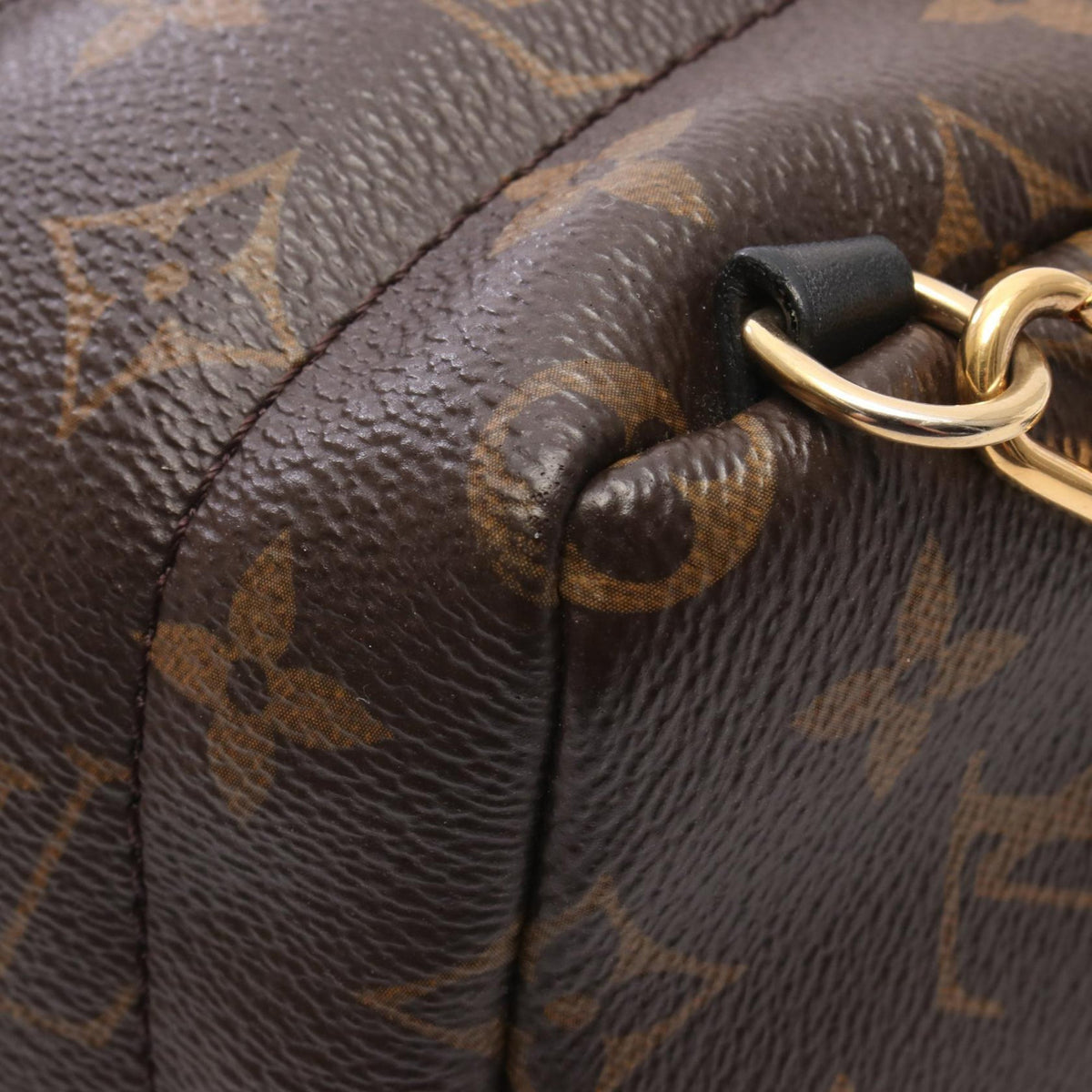 Louis Vuitton Monogram Mini Palm Springs