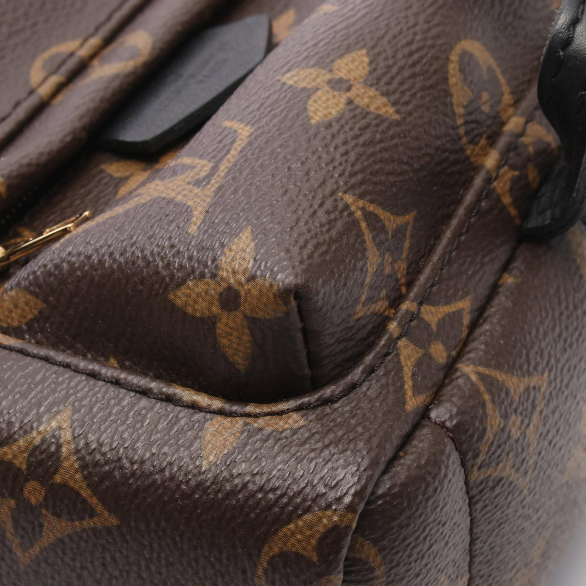 Louis Vuitton Monogram Mini Palm Springs