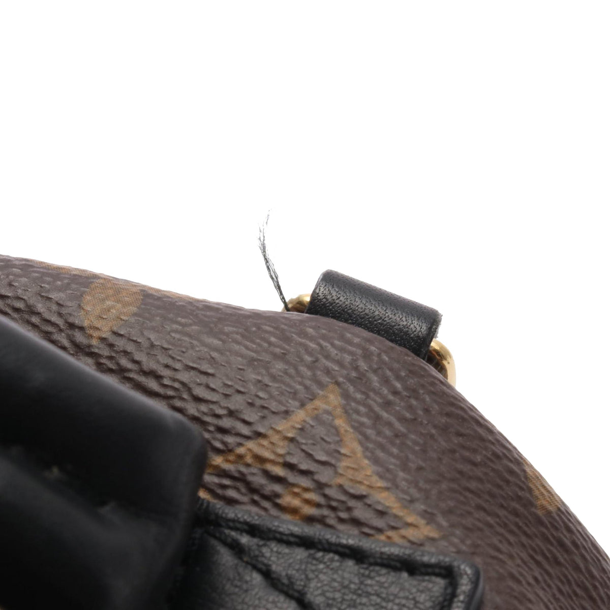 Louis Vuitton Monogram Mini Palm Springs